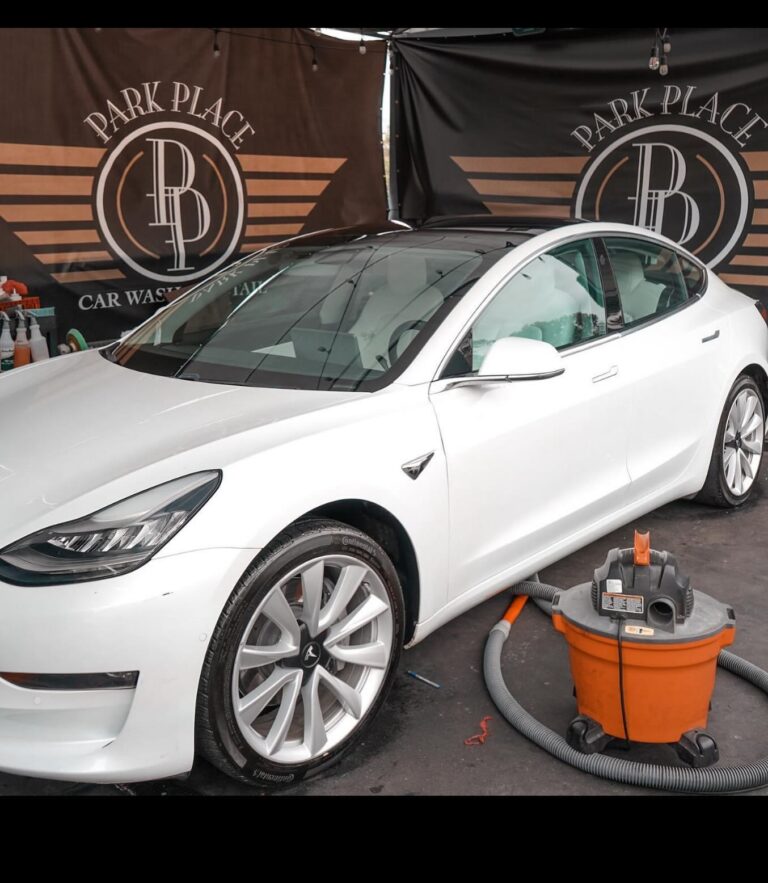 Engine & Paint Care